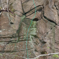 Med-känsla 